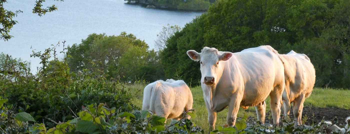 <strong>Au coeur du Morvan</strong>